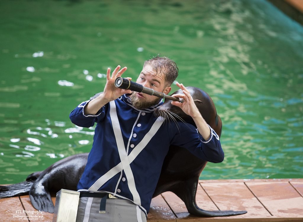 Zeeleeuwen Theater Dolfinarium Harderwijk