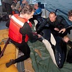 Morgan werd gered uit de Waddenzee. Foto niet door mij gemaakt.
